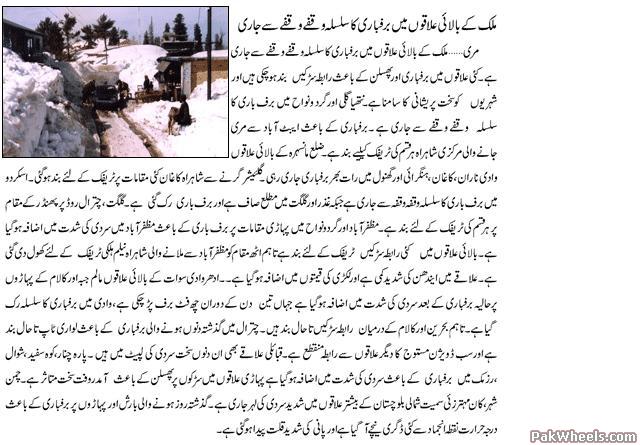 murre