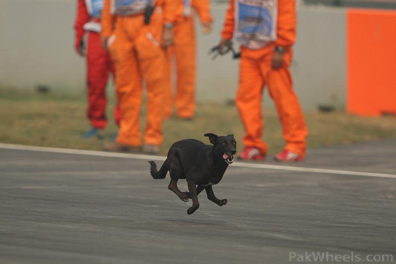 http://cache.pakwheels.com/forums/2010/attachments/Wheels-Fan-Clubs/318545--Formula-1---Season-2011-dogs-on-the-track-5-ind11.jpg