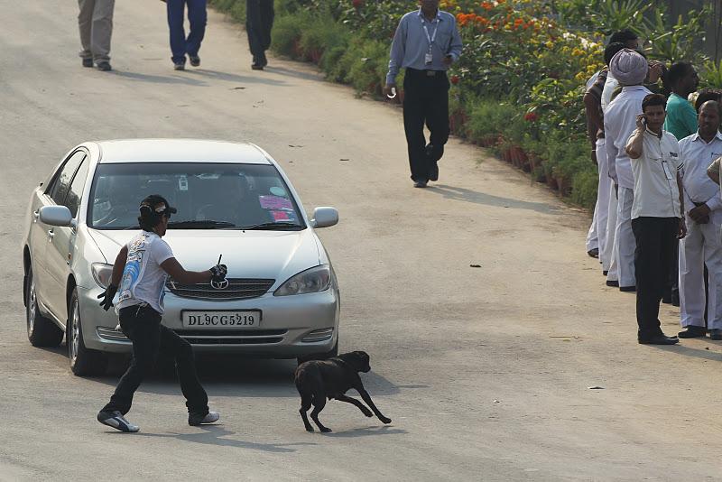 http://cache.pakwheels.com/forums/2010/attachments/Wheels-Fan-Clubs/318546--Formula-1---Season-2011-dogs-on-the-track-6-ind11.jpg
